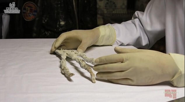 Найдена гигантская когтистая лапка: неужели это доказывает, что в Перу были инопланетяне?