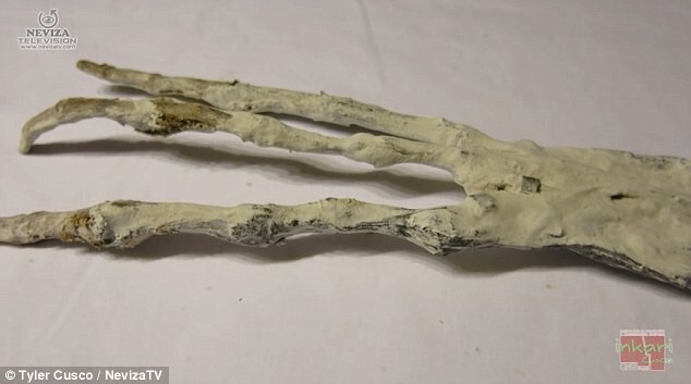 Найдена гигантская когтистая лапка: неужели это доказывает, что в Перу были инопланетяне?