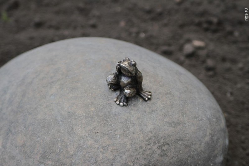 1. Крошечная бронзовая лягушка