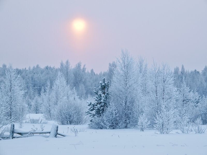 Зимние пейзажи Максима Евдокимова