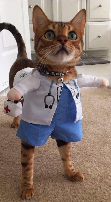 Очаровательный доктор 