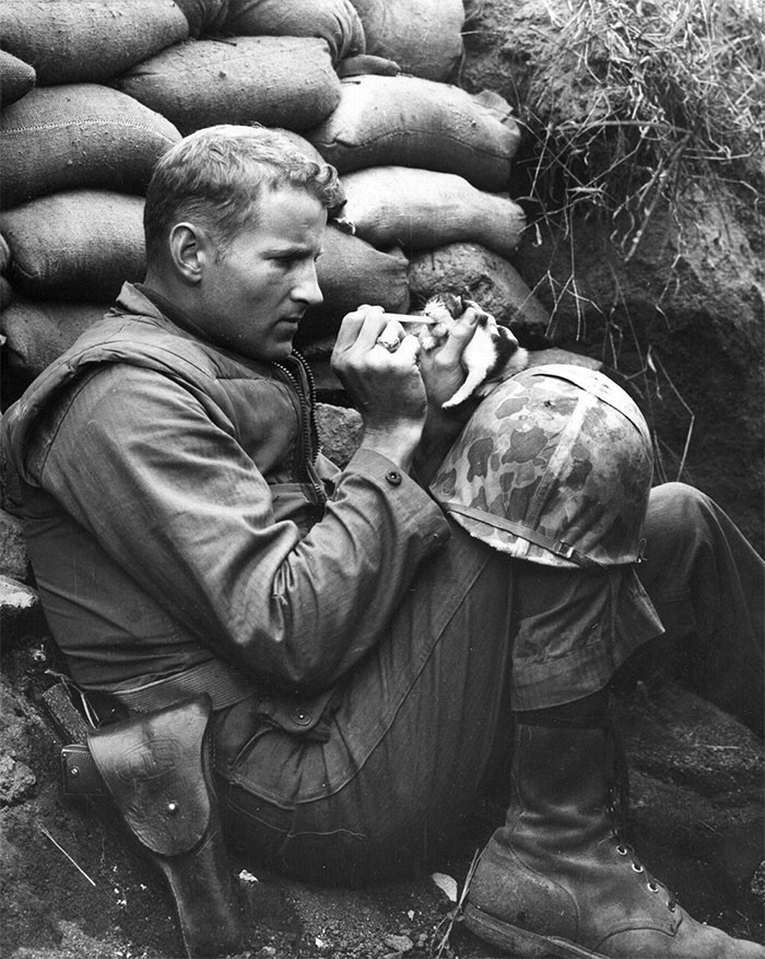 3. Американский военный кормит брошенного котенка. Снимок сделан во время Корейской войны