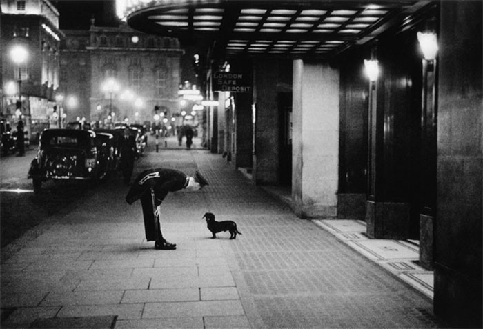 16. Швейцар отеля разговаривает с маленькой таксой, Лондон, 1938 г.