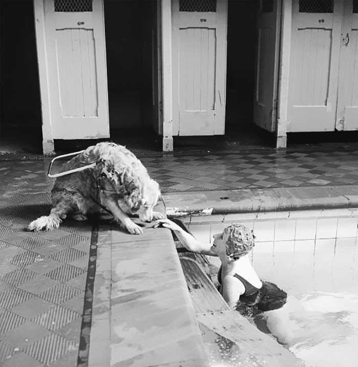 22. Слепая женщина расслабляется в бассейне под присмотром своего пса-поводыря, 1966 г.