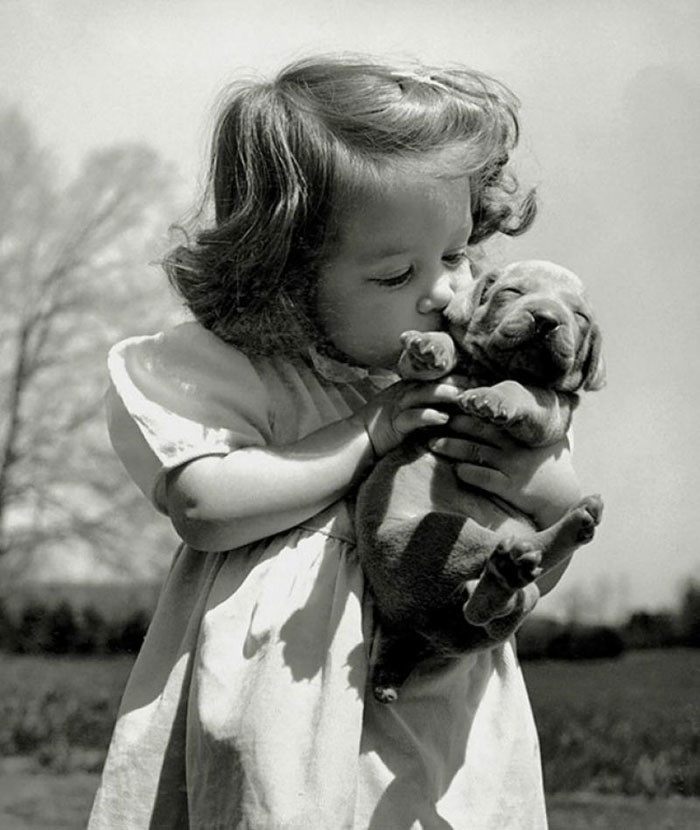 17. Девочка целует щенка веймарской легавой в питомнике своего отца-заводчика, 1950 г.