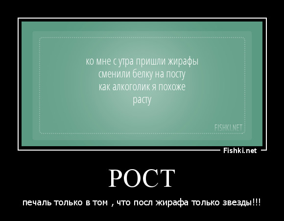 рост