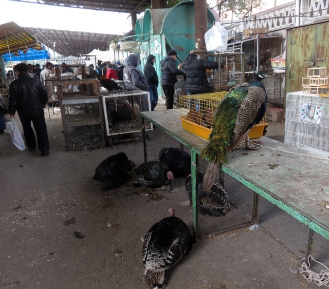 Ташкент. Янгиабадский базар