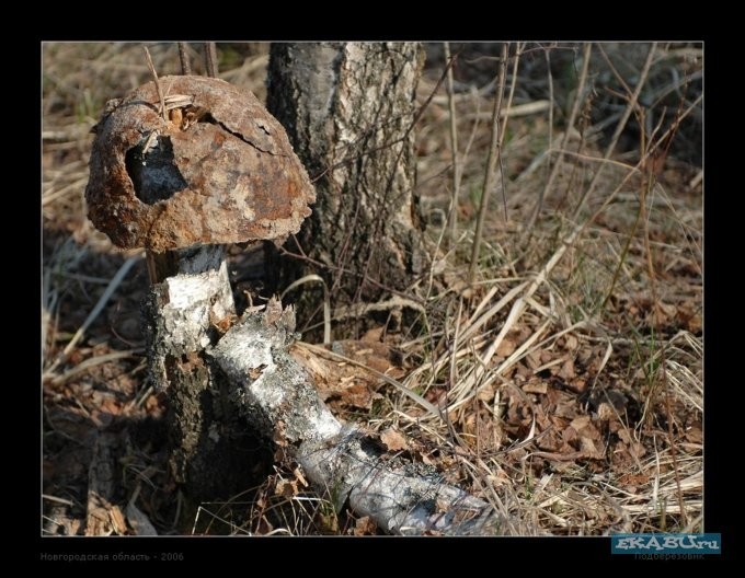 Раскопки Второй Мировой Войны. (Часть 2)