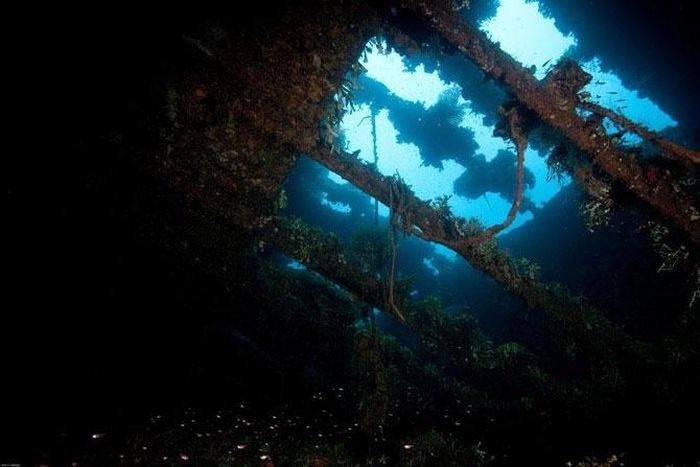 Подводный мир!
