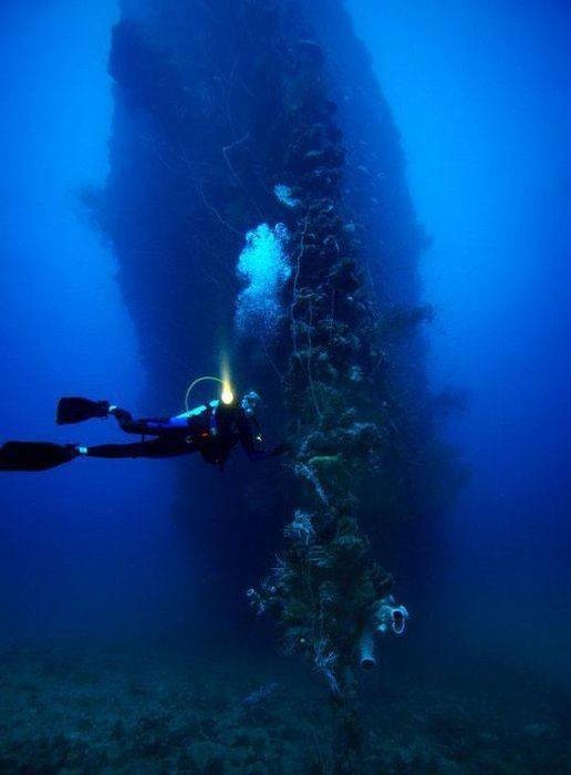 Подводный мир!