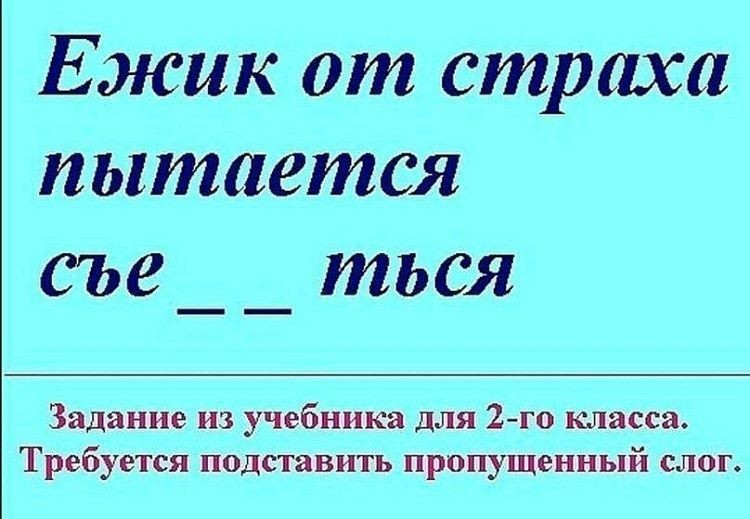 12. На месте ежика и мы бы так поступили