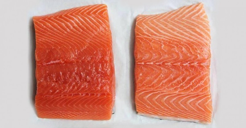 Как выбрать мясо лосося