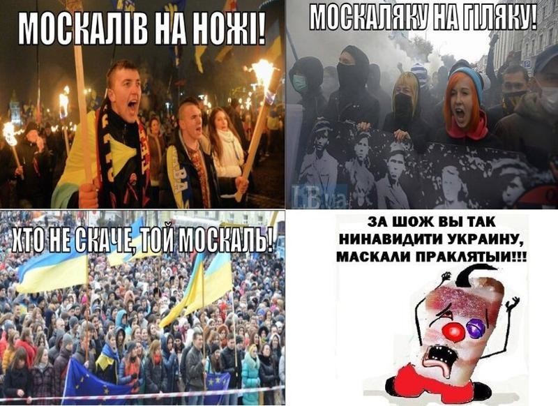 Так что такое, всё же, ЩИРЫЙ украинец?! (мнение жителя Украины)