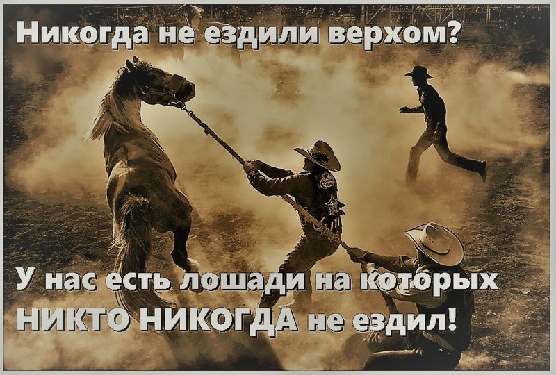 Реклама конюшни с прокатом )) 