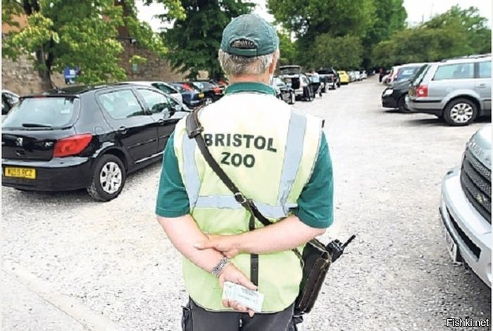 У зоопарка в английском городе Бристоль есть стоянка на 150 парковочных мест ...