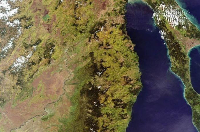 Летняя Балтика. Сине-зеленые водоросли видны на поверхности моря