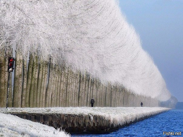 Зимний пейзаж в Грабовице, Сербия