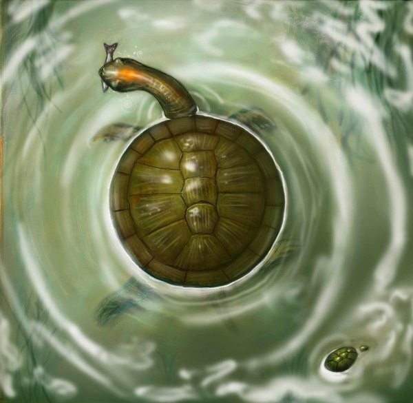 Как черепахи обзавелись панцирем и стали теми, кто они есть
