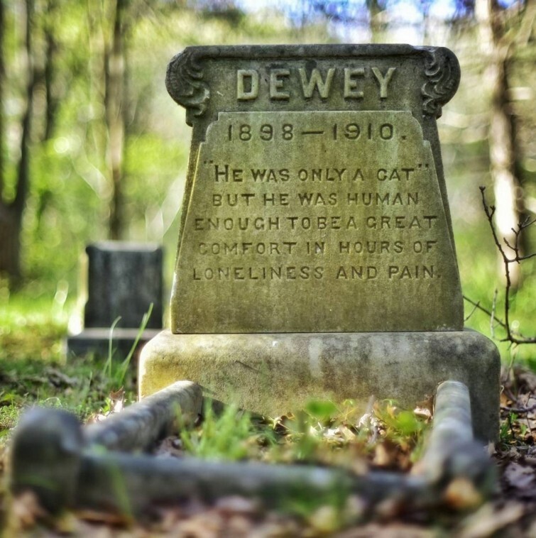 Dewey (1898–1910) "Он был всего лишь котом" Но достаточно человечным, чтобы утешить в периоды одиночества и боли.  