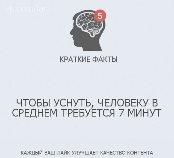 Интересные факты в картинках