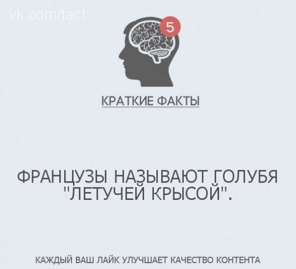 Интересные факты в картинках