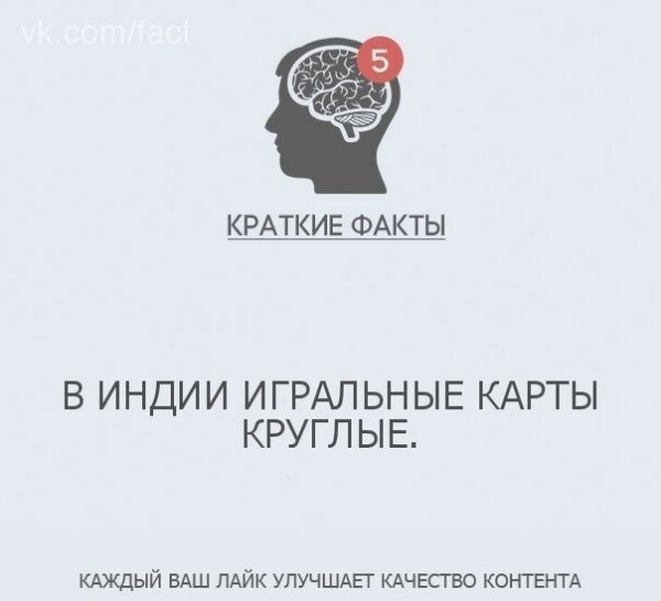 Интересные факты в картинках