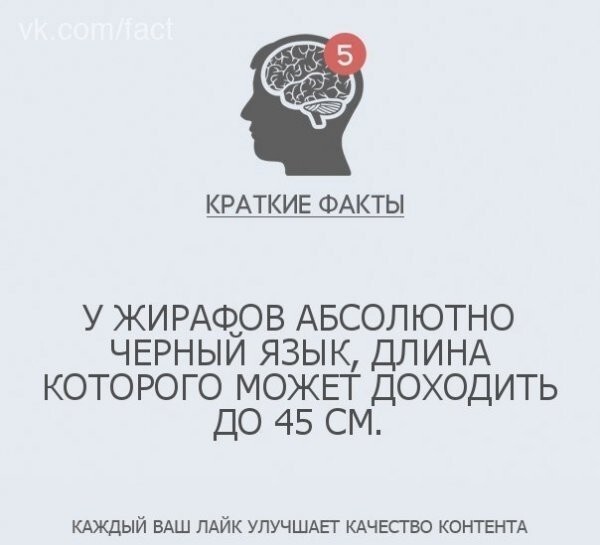 Интересные факты в картинках