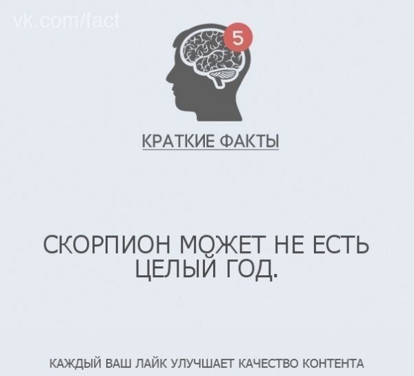 Интересные факты в картинках