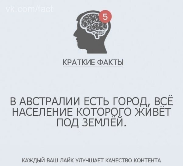 Интересные факты в картинках