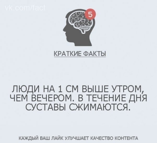 Интересные факты в картинках