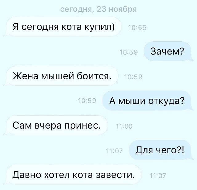 Если бы такое вычудила женщина, все бы покрутили пальцем у виска, а если мужчина, то вполне логично - они же не ищут легких путей.