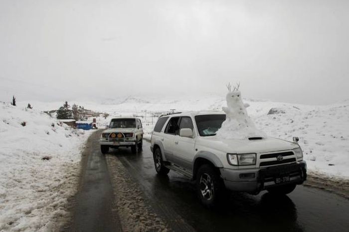 Свежая подборка автоприколов