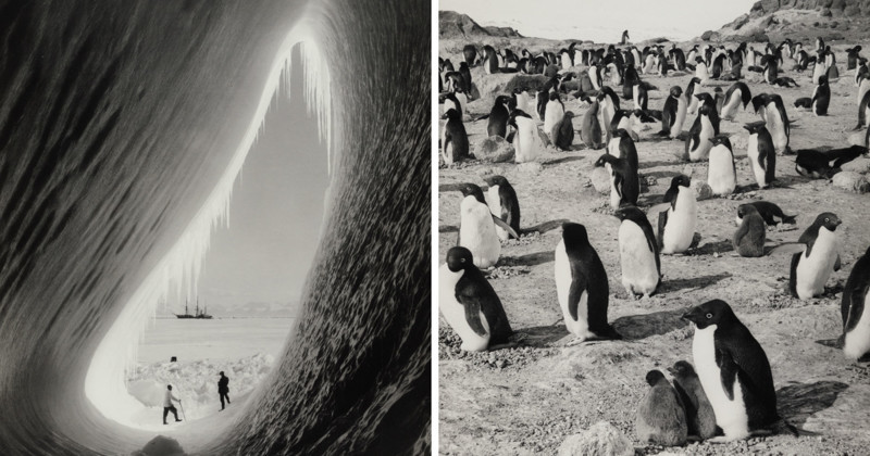 Фотографии смерти: документальный репортаж о гибельной экспедиции Роберта Скотта к Южному полюсу