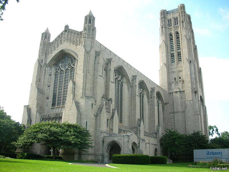 Чикагский университет (University of Chicago) славится высоким уровнем подгот...