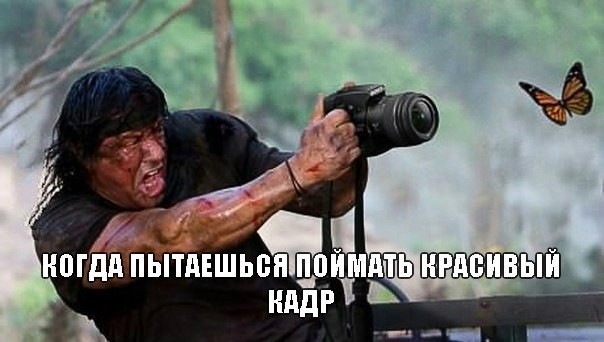 Фотоподборка приколов про фотографов