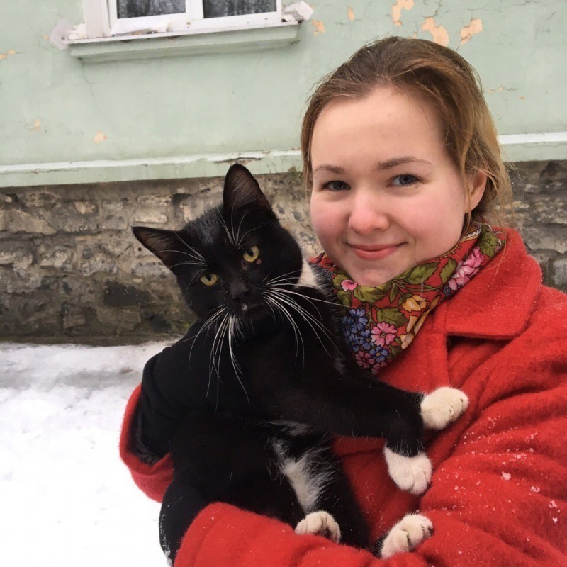В Кировске спасли кота попавшего в ловушку под асфальтом