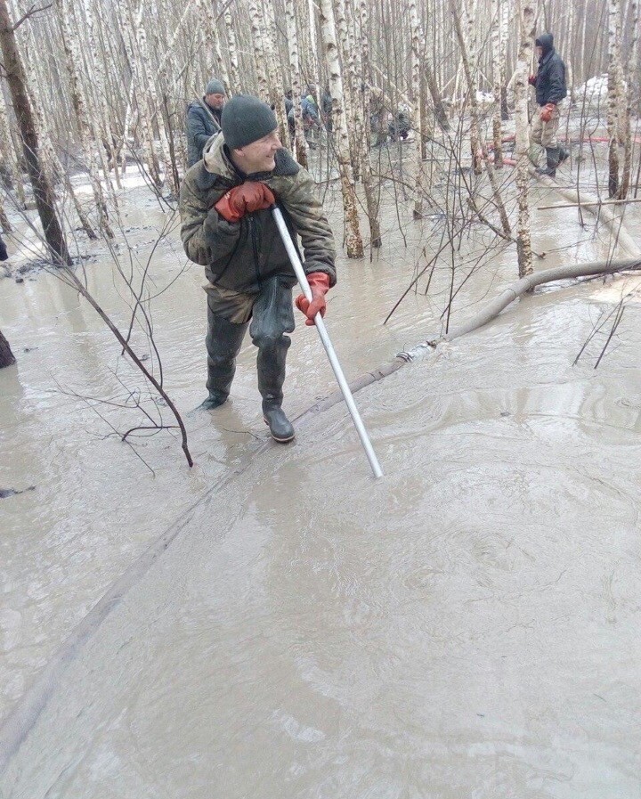 Украинское янтарное чудо