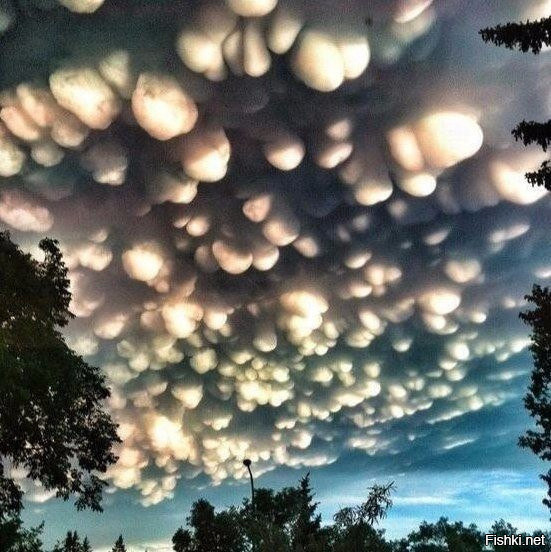 Редкий вид облаков, который называются мамматус (трубчатые облака)