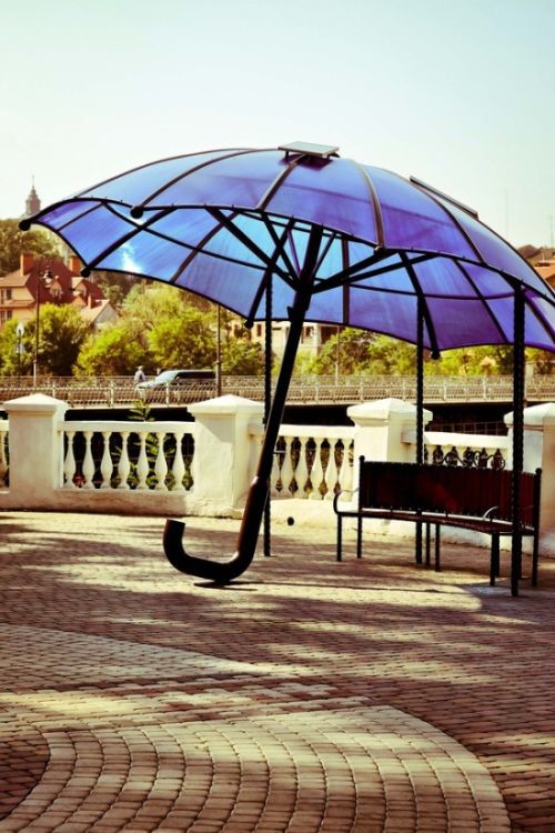 Гигантский зонтик