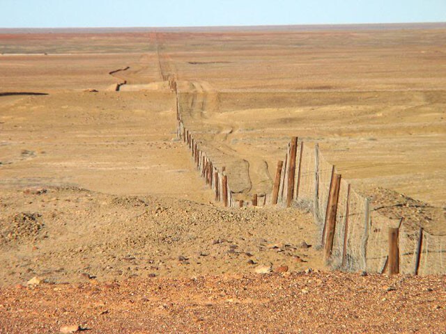 Самый длинный забор на планете