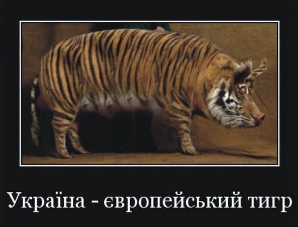 Политические комментарии соцсетей - 59