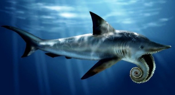 19. Геликоприон (Helicoprion)