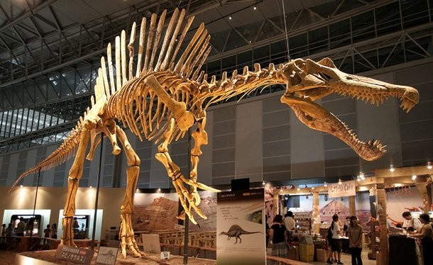 12. Спинозавр (Spinosaurus)