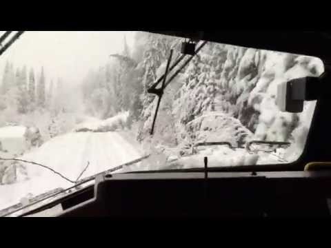 Грузовой поезд продолжает движение по заваленным деревьями путям после снежной бури 