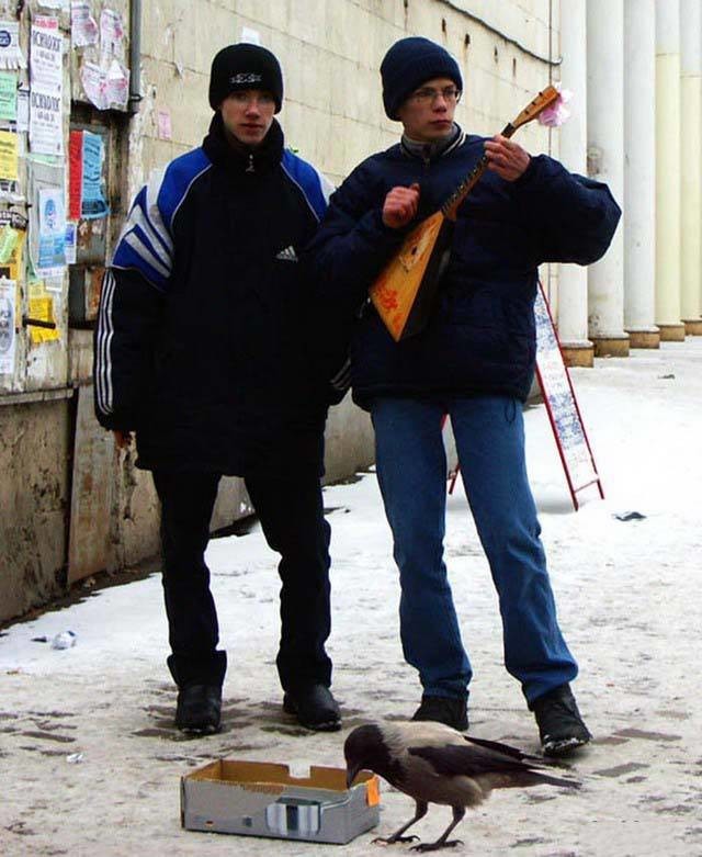 Эту страну не победить