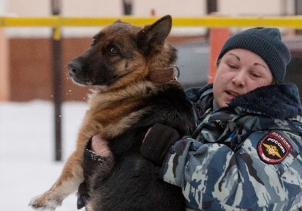В Челябинске спасли служебную собаку, отравившуюся наркотиками во время обыска притона
