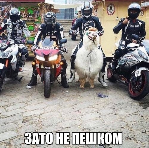 Авто приколы