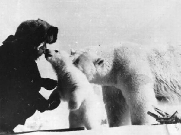  Дружба человека и белого медведя на снимках 1980-х 
