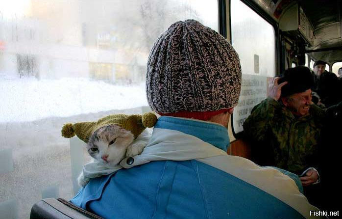 Из солянки от 31.01.2017