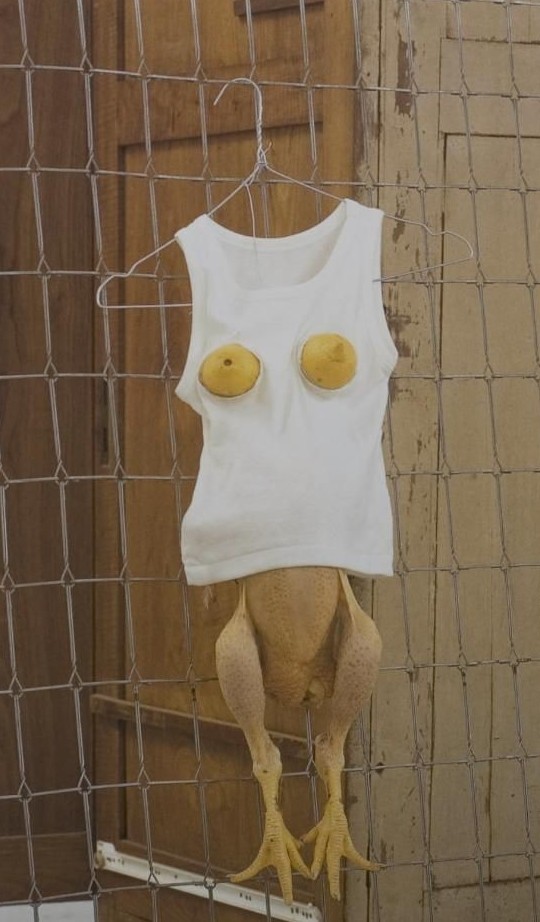 Sarah lucas